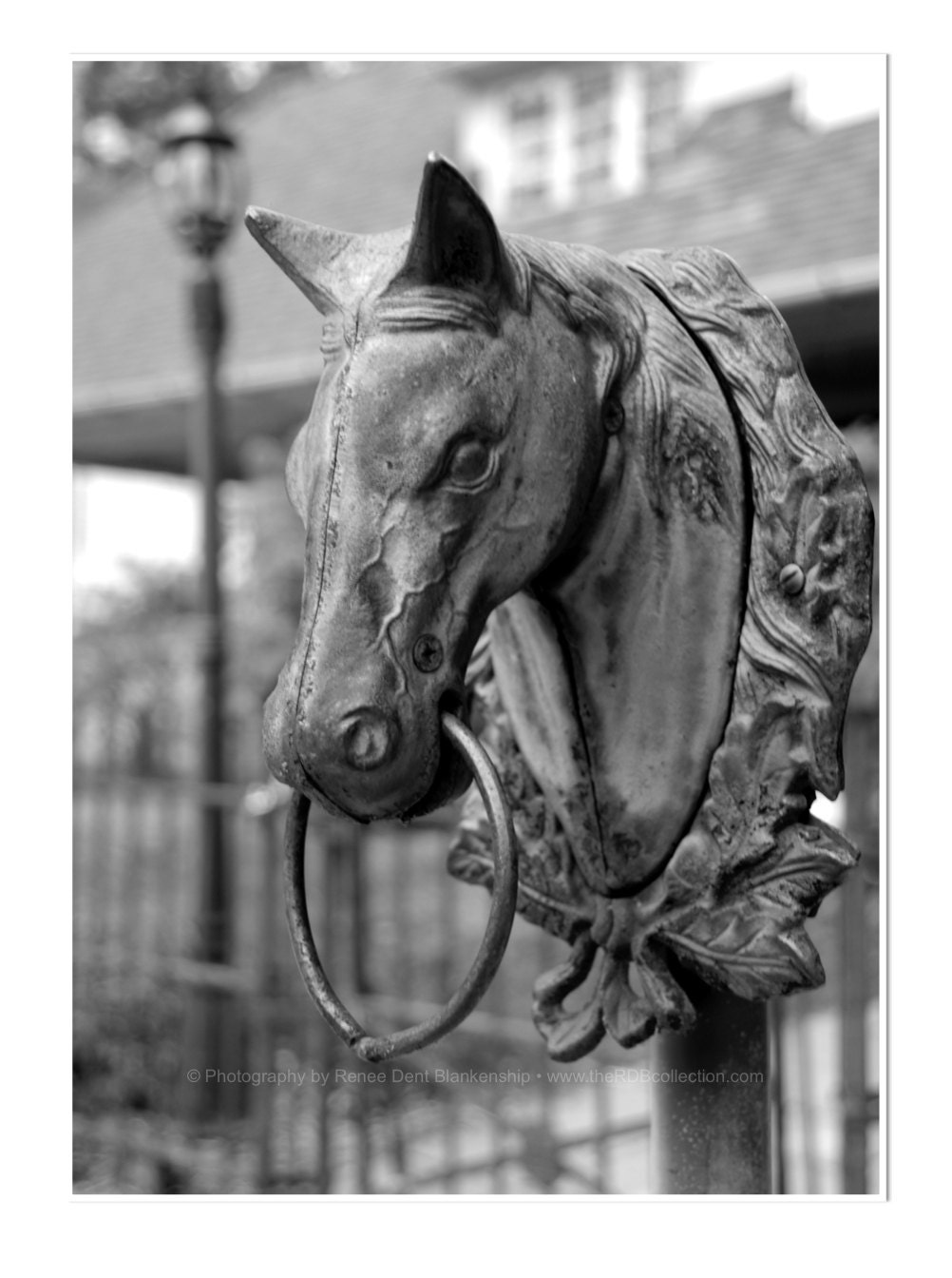 Horse Hitch Post Photography