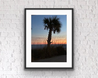 Gulf Coast Sunset under a Palm