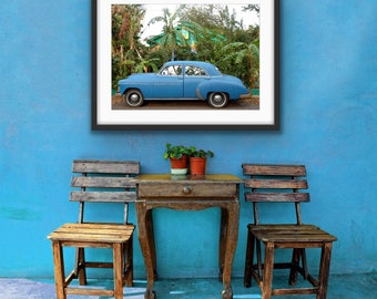 Blue Car and Banana Trees Photograph