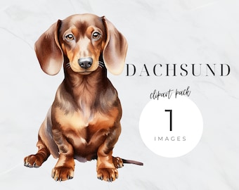 Dachshund Dog Clipart, Weiner Dog PNG, Watercolor Dog Clip Art, Sausage Dog, Pet Png, Puppy Transparent Background, Dog Portrait, Dog Mom