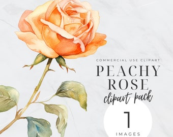 Rose Bud Clipart, Simple Rose Clip Art, Vintage Rose Clipart, Watercolor Dusty Rose Floral, Peach, Pink, Transparent PNG, Flower Border