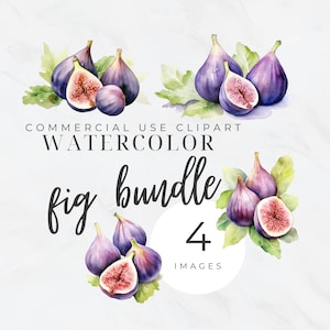 Fig Clipart, Fruit Watercolor Clip Art, Balete Tree Ficus Scared Fig Banyan, Wine and Cheese Clipart, Grapes, Commercial Use