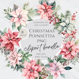 Clipart de poinsétia de Natal, clipart de férias, poinsétia em aquarela, inverno, arranjo, buquê, sublimação, uso comercial, floral