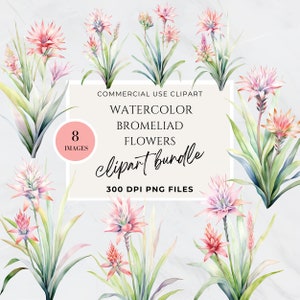 Bromeliad, Flower Shop Clipart, Hot Pink Flowers Clipart, Light Pink Flower Clipart, Spring Florals, Tropical Floral Clipart, Exotic, PNG