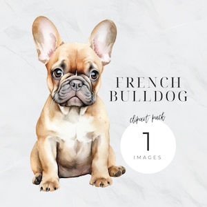 Clipart de buldogue francês em aquarela, animal de estimação png, fundo transparente de filhote de cachorro, retrato de cachorro, berçário, uso comercial, cachorro mãe glitter png