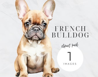 Watercolor French Bulldog Clipart, Pet Png, Puppy Transparent Background, Dog Portrait, Nursery, Commercial Use, Dog Mom Glitter PNG