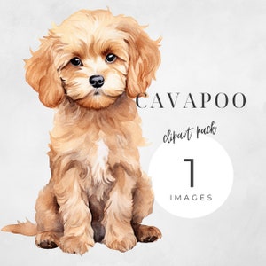 Cavapoo Clipart, Cavalier King Charles Spaniel, Poodle Clip Art, Dog Watercolor, Instant Download, Dog Portrait, Puppy Silhouette, Dog PNG