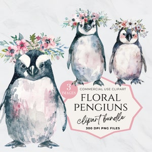 Clipart aquarelle florale de pingouin, lot de cliparts oiseau floral mignon, bébés animaux en hiver, pingouin enneigé, Images de l'Arctique, Shower de bébé, Chambre de bébé
