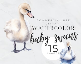 Baby Swan Clipart Bundle, Watercolor Animal Clip Art, Swan Lake, Cute Baby, Ballerina, Ballet, Digital Download, Transparent PNG