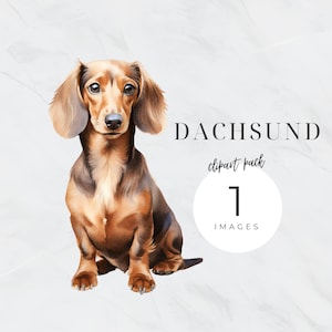 Dackel Hund Clipart, Weiner Hund PNG, Aquarell Hund Clip Art, Dackel, Haustier Png, Welpe Transparenter Hintergrund, Hunde Portrait, Hundemutter