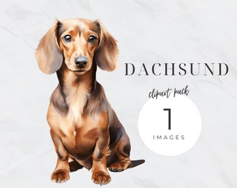 Dachshund Dog Clipart, Weiner Dog PNG, Watercolor Dog Clip Art, Sausage Dog, Pet Png, Puppy Transparent Background, Dog Portrait, Dog Mom