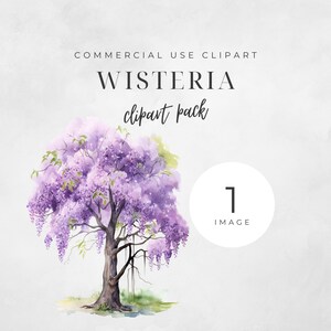 Watercolor Wisteria Clipart PNG, Digital Download, Wisteria Tree Clipart, Purple Florals, Spring Flower Clip Art, Instant Download