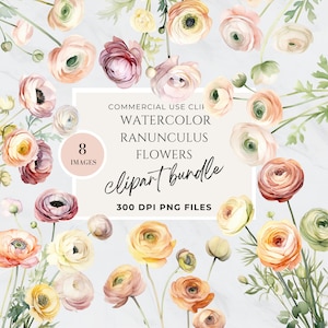 Ranunculus, Buttercups, Clipart Neutral Flowers, Light Pink Flower Clipart, Boho Flowers,  Rustic, Commercial Use, Instant Download, PNG