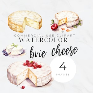 Wine and Cheese Clipart, Clip art Watercolor Wine, Red Wine, Rose Wine, Mulled Wine, Swiss Cheese, Brie, Pretzel, Grapes, Figs, Glass Bottle
