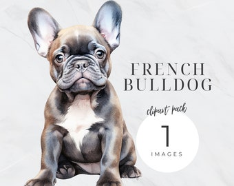 Watercolor French Bulldog Clipart, Pet Png, Puppy Transparent Background, Dog Portrait, Nursery, Commercial Use, Dog Mom Glitter PNG