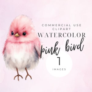 Clipart oiseau d'hiver mignon, aquarelle oiseaux d'hiver, oiseau des neiges, clipart animal, oiseaux d'amour, voler, original, chambre de bébé, bébé, lot