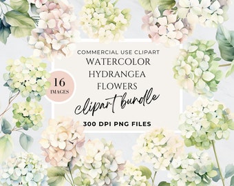 Vit blommig clipart hortensia eukalyptus, akvarellblomma, bröllopsinbjudan, bukettsamling, transparent bakgrund PNG, hög upplösning