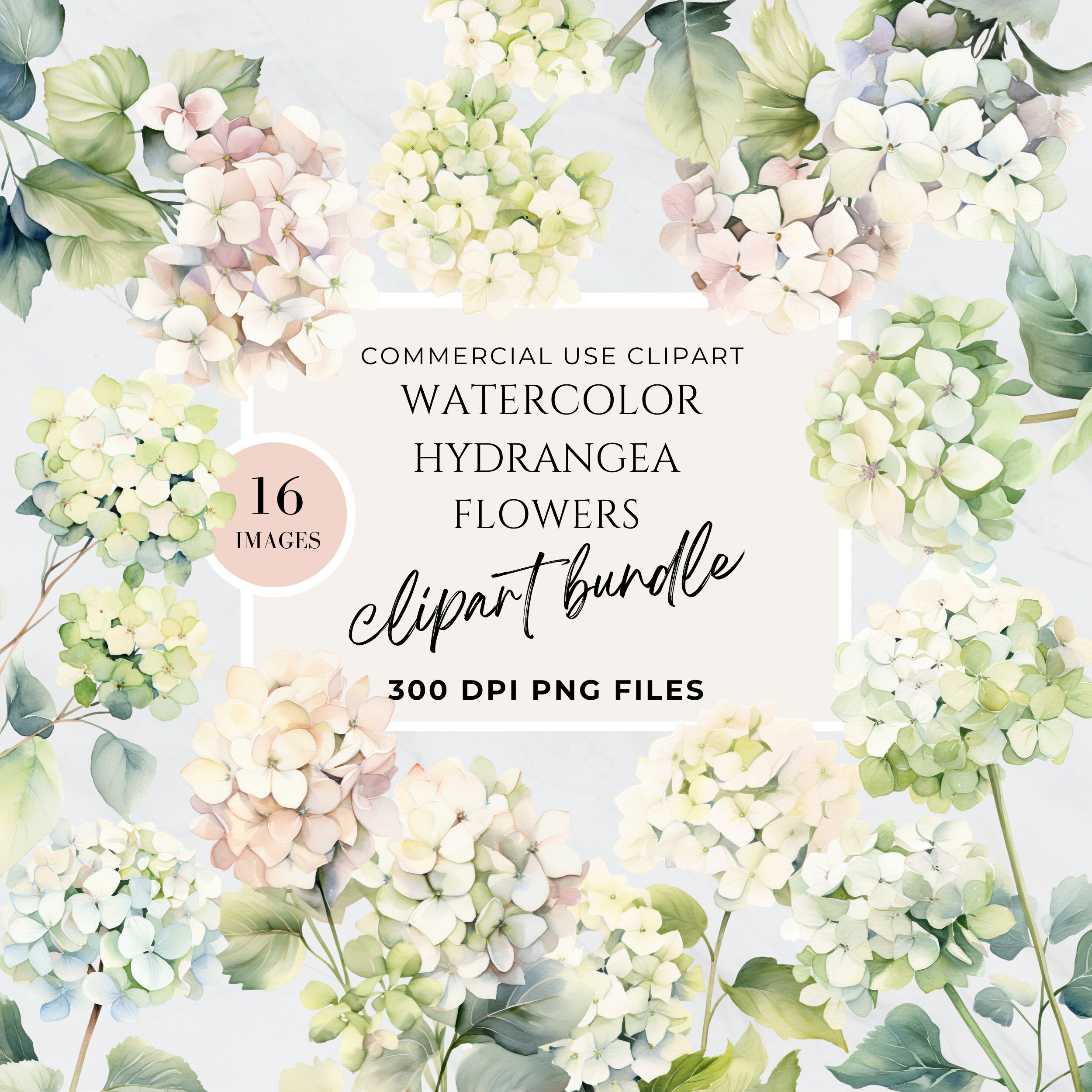 White Floral Clipart Hydrangea Eucalyptus, Watercolor Flower, Wedding Invitation, Bouquet Collection, Transparent Background PNG, High Res