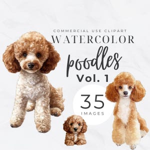 Toy Poodle PNG, Cute Puppy Clipart, Dog Graphics, Digital Download, Transparent PNG, Poodle Mom Png