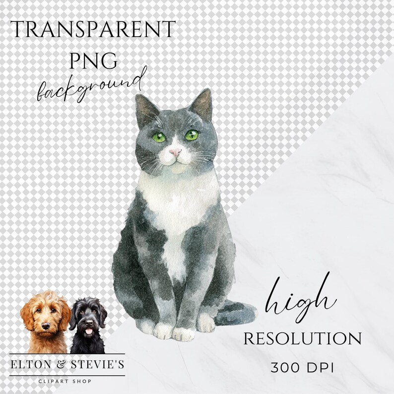 May include: Watercolor illustration of a gray and white cat with green eyes, sitting upright. Two small dog illustrations are at the bottom left. Text includes "TRANSPARENT PNG background" and "high RESOLUTION 300 DPI". The shop name "ELTON & STEVIE'S" is also present.