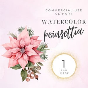 Clipart de poinsétia de Natal, clipart de férias, poinsétia em aquarela, ouro, inverno, arranjo, buquê, sublimação, floral, PNG