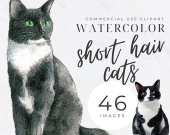 Clipart di gatti in acquerello, gattini in PNG, download digitale per album, creazione di biglietti, creazioni di diari spazzatura, gattino