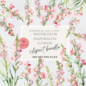 May include: A digital clipart bundle of 9 watercolor illustrations of pink snapdragon flowers. The flowers are arranged in various positions and sizes. The text "COMMERCIAL USE CLIPART WATERCOLOR SNAPDRAGON FLOWERS clipart bundle 300 DPI PNG FILES" is displayed on a white background.