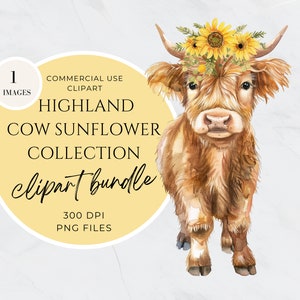 Watercolor Sunflower Highland Cows Collection Clipart, Transparent Background Baby Animal PNG, Commercial Use, Spring Flower, Digital