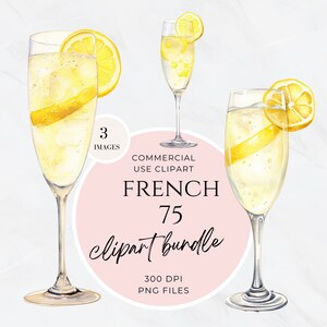 Bar Warenkorb Clipart, Clip Art Bar Menü, Aquarell Signatur Cocktail, Hochzeit Getränke Zeichen, Barwagen Illustrationen, Französisch 75, PNG