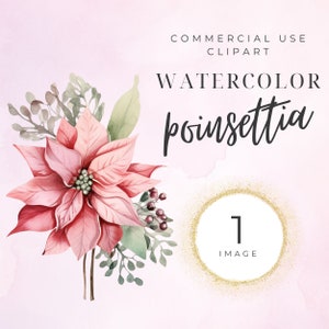 Clipart de poinsétia de Natal, clipart de férias, poinsétia em aquarela, ouro, inverno, arranjo, buquê, sublimação, floral, PNG