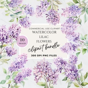 Imágenes Prediseñadas de flores lilas, flor de malva, imágenes prediseñadas de boda, primavera, lavanda, flores moradas png, uso comercial, flores de primavera, ramos lilas