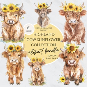 Watercolor Sunflower Highland Cows Collection Clipart, Transparent Background Baby Animal PNG, Commercial Use, Spring Flower, Digital