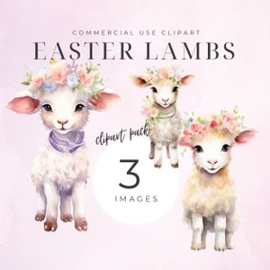 Watercolor Easter Lamb Clipart, Cute Easter Character Clip Art, Spring Nursery, Baby Shower, Easter Woodland, Transparent for Commercial Use