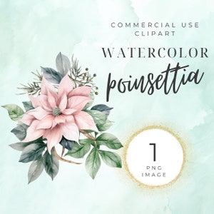 Clipart de poinsétia de Natal, clipart de férias, poinsétia em aquarela, ouro, inverno, arranjo, buquê, sublimação, floral, PNG