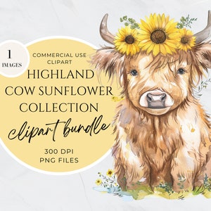 Watercolor Sunflower Highland Cows Collection Clipart, Transparent Background Baby Animal PNG, Commercial Use, Spring Flower, Digital