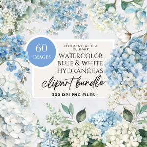 May include: A watercolor clipart bundle featuring blue and white hydrangeas. The image includes a blue circle with the number 60 and the word "IMAGES". The text "WATERCOLOR BLUE & WHITE HYDRANGEAS clipart bundle" is also present.