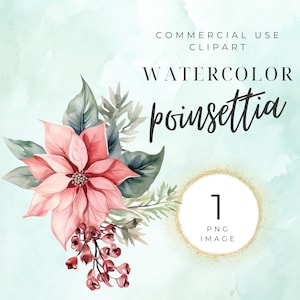 Clipart de poinsétia de Natal, clipart de férias, poinsétia em aquarela, ouro, inverno, arranjo, buquê, sublimação, floral, PNG