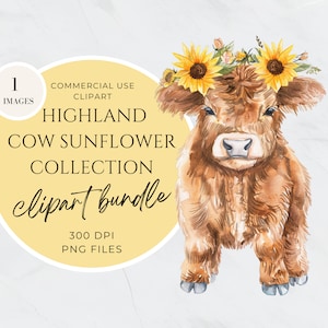 Watercolor Sunflower Highland Cows Collection Clipart, Transparent Background Baby Animal PNG, Commercial Use, Spring Flower, Digital