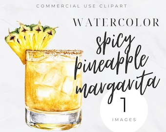 Spicy Margarita Clipart, Bar Menu Clip Art, Watercolor Signature Cocktail, Wedding Drinks Sign, Bar Cart, Alcohol Illustration, PNG