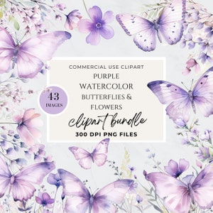 Lila Schmetterling Clipart, Aquarell, rosa und lila Schmetterlinge, Schmetterling und Blume, Babyparty Zeichen, PNG, Frühling