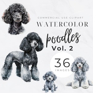 Toy Poodle PNG, Cute Puppy Clipart, Dog Graphics, Digital Download, Transparent PNG, Poodle Mom Png