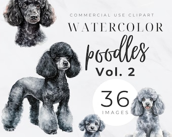 Toy Poodle PNG, Cute Puppy Clipart, Dog Graphics, Digital Download, Transparent PNG, Poodle Mom Png