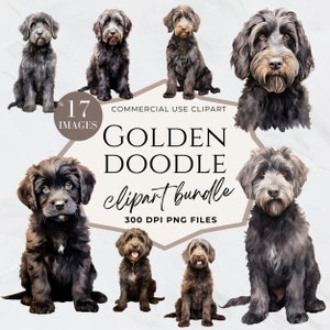 Clipart Doodle dorato, Cane Doodle, Acquerello cane, Download istantaneo, Labradoodle nero, Ritratto del cane, Sagoma Doodle dorato, Asilo nido