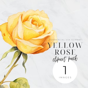 May include: A single yellow watercolour rose with green leaves and stem. Commercial use clipart pack, 1 image.