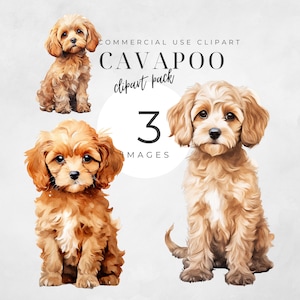 Cavapoo Clipart, Cavalier King Charles Spaniel, Poodle Clip Art, Dog Watercolor, Instant Download, Dog Portrait, Puppy Silhouette, Dog PNG