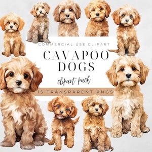Cavapoo Clipart, Cavalier King Charles Spaniel, Poodle Clip Art, Dog Watercolor, Instant Download, Dog Portrait, Puppy Silhouette, Dog PNG