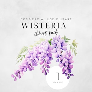 Watercolor Wisteria Clipart PNG, Digital Download, Wisteria Tree Clipart, Purple Florals, Spring Flower Clip Art, Instant Download