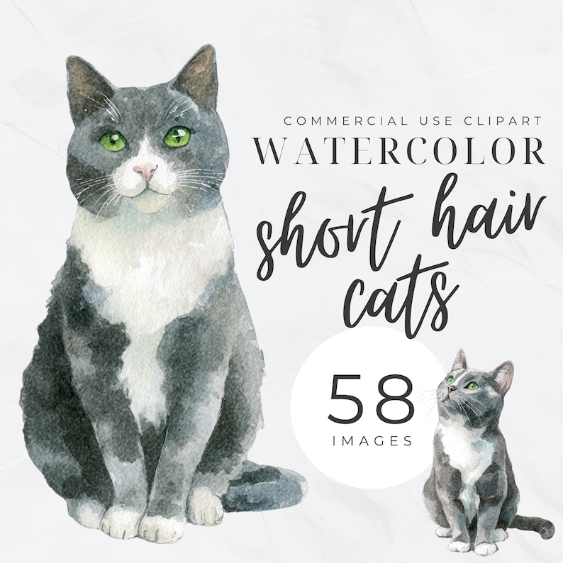 May include: Watercolor illustration of two short-haired cats in shades of gray and white, with green eyes. The image includes the text "COMMERCIAL USE CLIPART," "WATERCOLOR," and "short hair cats," along with the number "58" and the word "IMAGES."