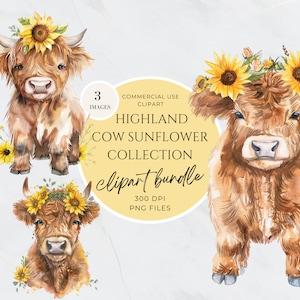 Watercolor Sunflower Highland Cows Collection Clipart, Transparent Background Baby Animal PNG, Commercial Use, Spring Flower, Digital