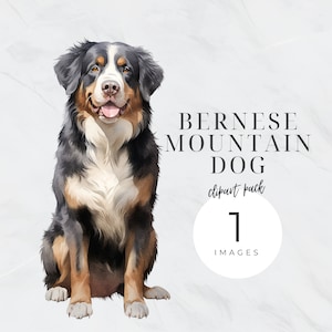 Berner Sennenhund Clipart, Berner Hund Png, Haustier Png, transparenter Hintergrund, digitaler Planer, Hundeportrait, Kindergarten, kommerzielle Nutzung